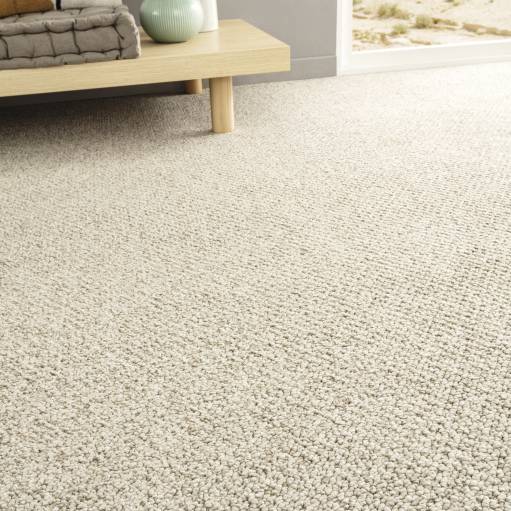Image result for Carpet deodorizing for odor removal - Carpet Deodorizing For Odor Removal